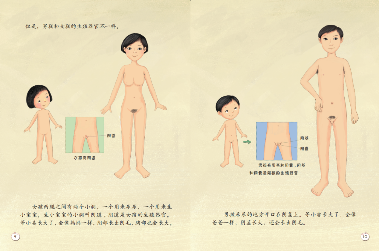 《珍爱生命——幼儿性健康教育绘本》插图