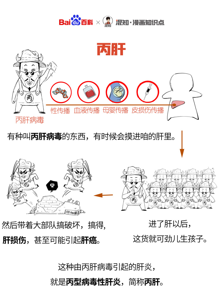 百科x混知：图解丙肝