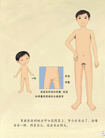 《珍爱生命——幼儿性健康教育绘本》插图